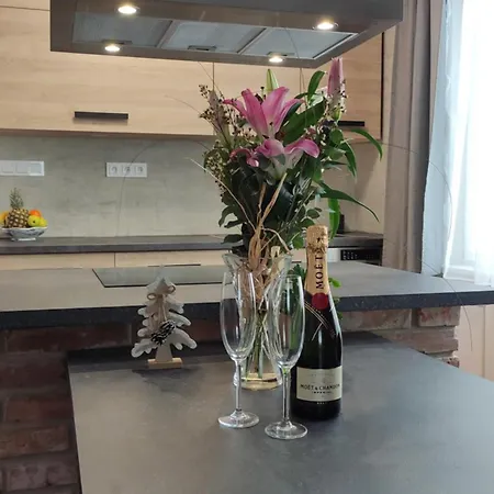 U Holubu Na Namesti Apartment Roznov pod Radhostem
