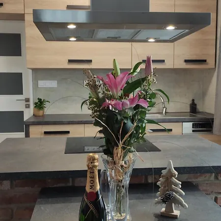 Apartment U Holubu Na Namesti Roznov pod Radhostem