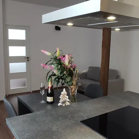Apartamento U Holubu Na Namesti